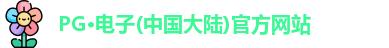 pg电子